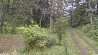長野県菅平高原 ゆたか山荘 坂上 2026/09/16 08:15