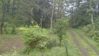 長野県菅平高原 ゆたか山荘 坂上 2026/09/16 09:00