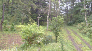 長野県菅平高原 ゆたか山荘 坂上 2026/09/16 09:15
