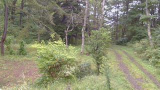 長野県菅平高原 ゆたか山荘 坂上 2026/09/16 09:45