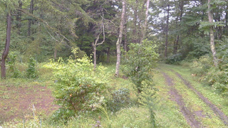 長野県菅平高原 ゆたか山荘 坂上 2026/09/16 10:45