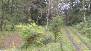 長野県菅平高原 ゆたか山荘 坂上 2026/09/16 11:00