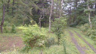 長野県菅平高原 ゆたか山荘 坂上 2026/09/16 11:15