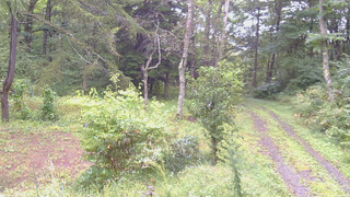 長野県菅平高原 ゆたか山荘 坂上 2026/09/16 11:30