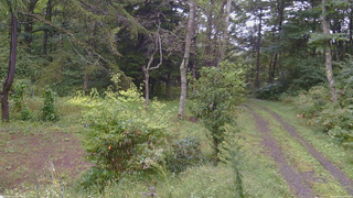 長野県菅平高原 ゆたか山荘 坂上 2026/09/16 11:45