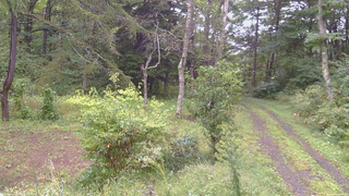 長野県菅平高原 ゆたか山荘 坂上 2026/09/16 12:00