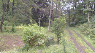 長野県菅平高原 ゆたか山荘 坂上 2026/09/16 12:15