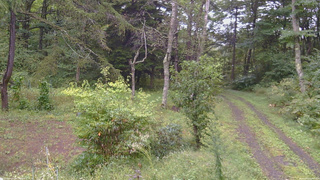 長野県菅平高原 ゆたか山荘 坂上 2026/09/16 12:30