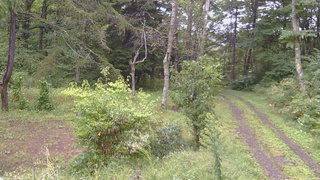 長野県菅平高原 ゆたか山荘 坂上 2026/09/16 12:45