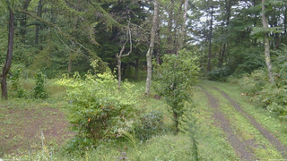 長野県菅平高原 ゆたか山荘 坂上 2026/09/16 13:00
