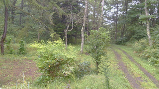 長野県菅平高原 ゆたか山荘 坂上 2026/09/16 13:15