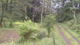 長野県菅平高原 ゆたか山荘 坂上 2026/09/16 13:30