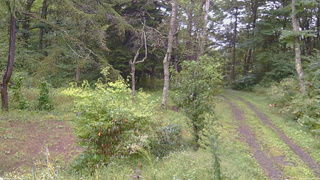 長野県菅平高原 ゆたか山荘 坂上 2026/09/16 13:45