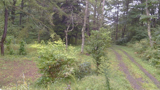 長野県菅平高原 ゆたか山荘 坂上 2026/09/16 14:00
