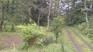 長野県菅平高原 ゆたか山荘 坂上 2026/09/16 14:30
