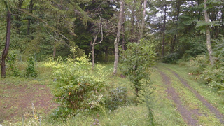 長野県菅平高原 ゆたか山荘 坂上 2026/09/16 15:15