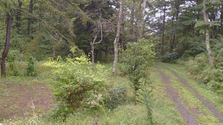 長野県菅平高原 ゆたか山荘 坂上 2026/09/16 15:45