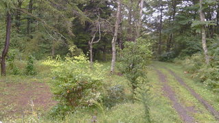 長野県菅平高原 ゆたか山荘 坂上 2026/09/16 16:00