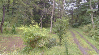 長野県菅平高原 ゆたか山荘 坂上 2026/09/16 16:15