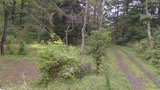 長野県菅平高原 ゆたか山荘 坂上 2026/09/16 17:15