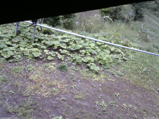 長野県菅平高原 ゆたか山荘 駐車場 2026/09/17 08:30