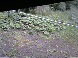 長野県菅平高原 ゆたか山荘 駐車場 2026/09/17 09:00