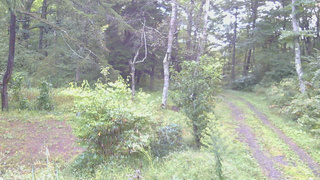 長野県菅平高原 ゆたか山荘 坂上 2026/09/17 05:45