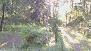 長野県菅平高原 ゆたか山荘 坂上 2026/09/17 06:15