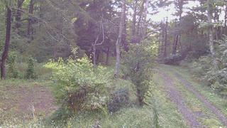 長野県菅平高原 ゆたか山荘 坂上 2026/09/17 07:30
