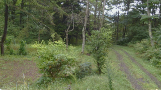 長野県菅平高原 ゆたか山荘 坂上 2026/09/17 08:00