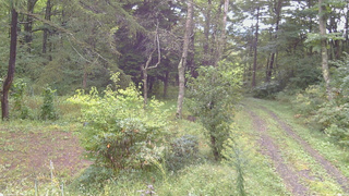 長野県菅平高原 ゆたか山荘 坂上 2026/09/17 08:15