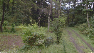 長野県菅平高原 ゆたか山荘 坂上 2026/09/17 08:30