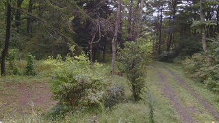 長野県菅平高原 ゆたか山荘 坂上 2026/09/17 08:45
