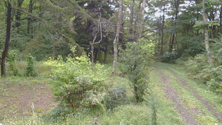 長野県菅平高原 ゆたか山荘 坂上 2026/09/17 09:00