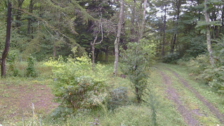長野県菅平高原 ゆたか山荘 坂上 2026/09/17 09:15