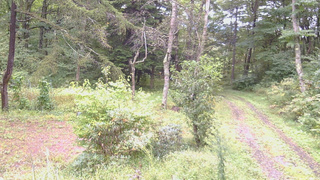 長野県菅平高原 ゆたか山荘 坂上 2026/09/17 09:30