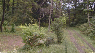 長野県菅平高原 ゆたか山荘 坂上 2026/09/17 10:45