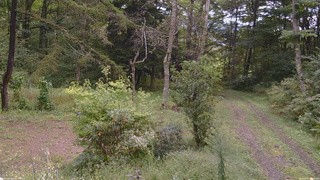 長野県菅平高原 ゆたか山荘 坂上 2026/09/17 11:00