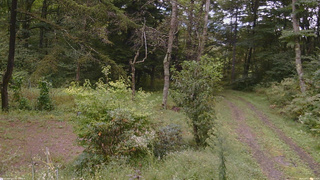 長野県菅平高原 ゆたか山荘 坂上 2026/09/17 11:15