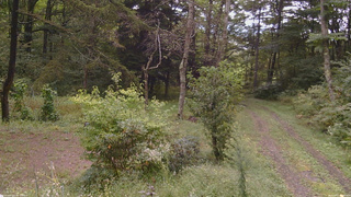 長野県菅平高原 ゆたか山荘 坂上 2026/09/17 11:30