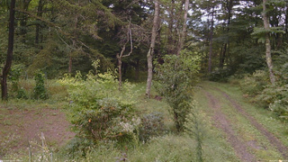 長野県菅平高原 ゆたか山荘 坂上 2026/09/17 11:45