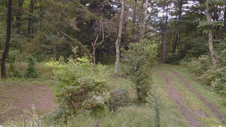 長野県菅平高原 ゆたか山荘 坂上 2026/09/17 12:00