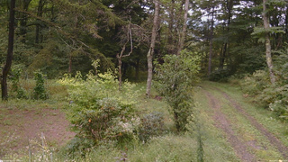長野県菅平高原 ゆたか山荘 坂上 2026/09/17 12:15