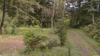長野県菅平高原 ゆたか山荘 坂上 2026/09/17 12:45