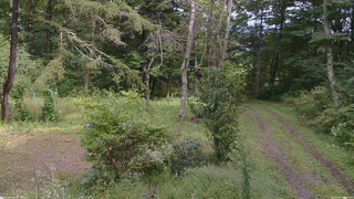 長野県菅平高原 ゆたか山荘 坂上 2026/09/17 13:15