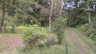 長野県菅平高原 ゆたか山荘 坂上 2026/09/17 13:30
