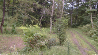 長野県菅平高原 ゆたか山荘 坂上 2026/09/17 13:45