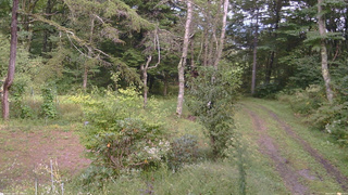 長野県菅平高原 ゆたか山荘 坂上 2026/09/17 14:00
