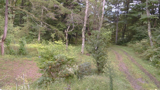 長野県菅平高原 ゆたか山荘 坂上 2026/09/17 14:15