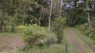 長野県菅平高原 ゆたか山荘 坂上 2026/09/17 14:45